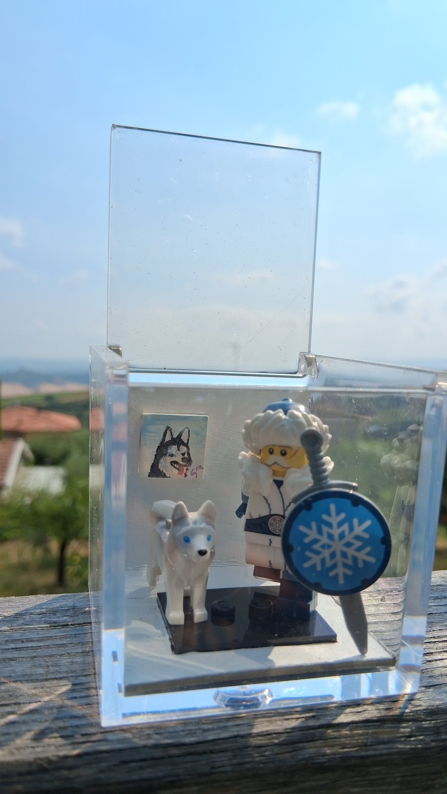 Cubo in Plexiglass – Husky & Guerriero delle Nevi