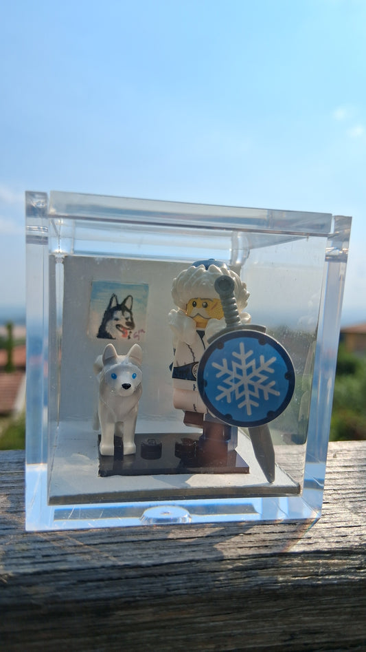 Cubo in Plexiglass – Husky & Guerriero delle Nevi