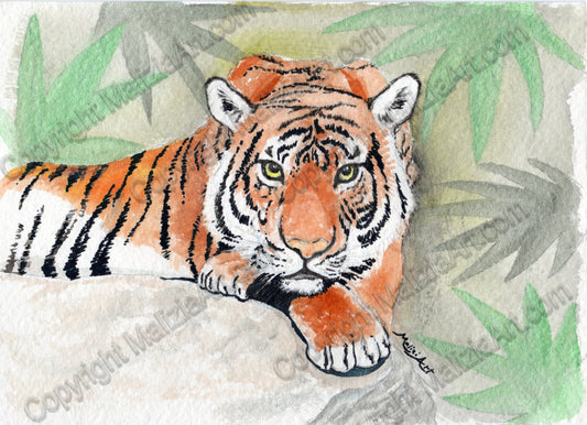 Stampe dei miei Acquerelli di Animali