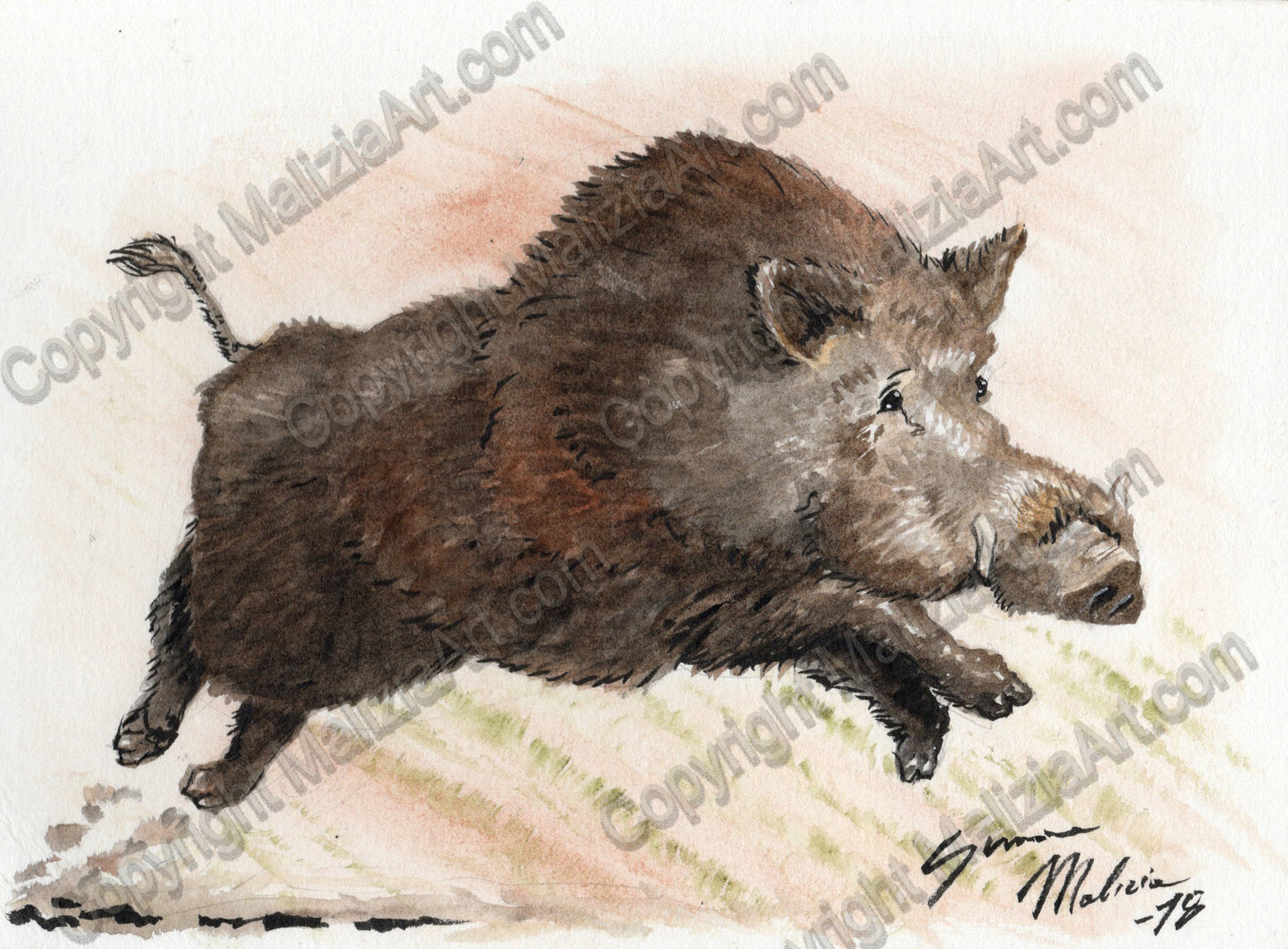 Stampe dei miei Acquerelli di Animali