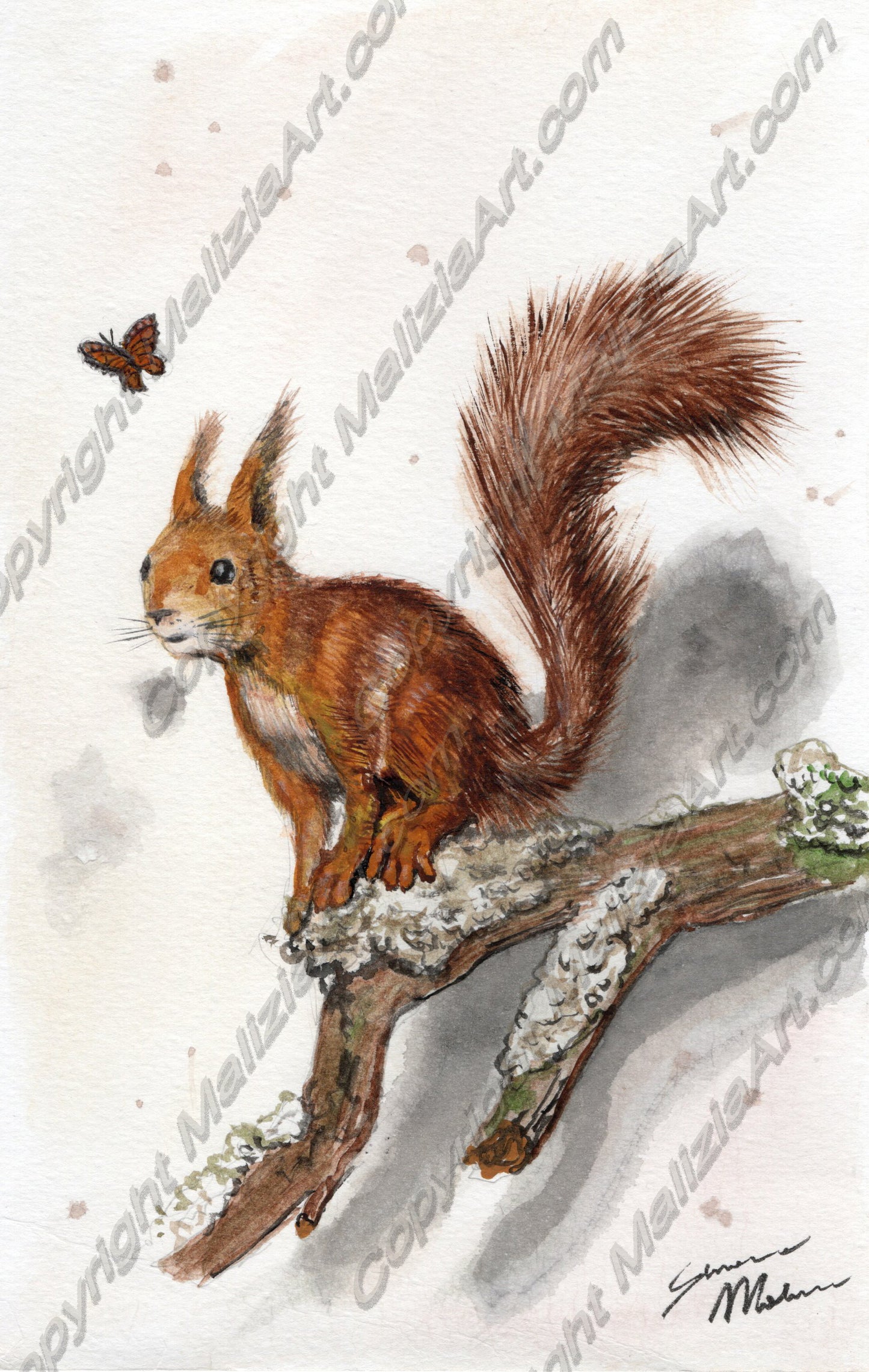 Stampe dei miei Acquerelli di Animali