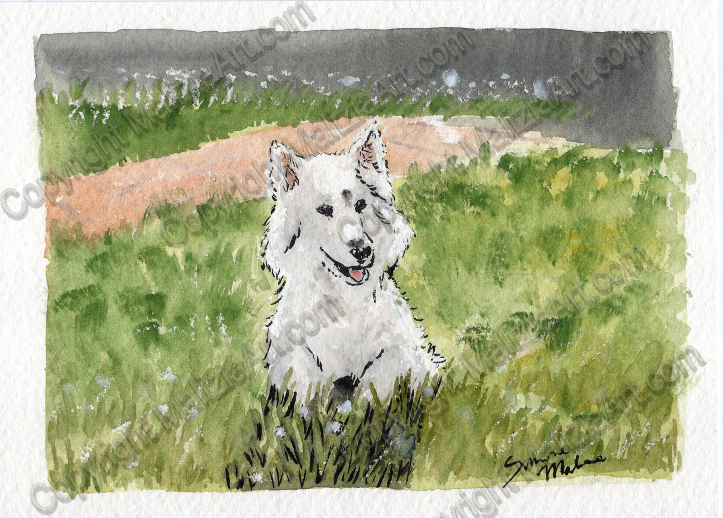 Stampe dei miei Acquerelli di Animali