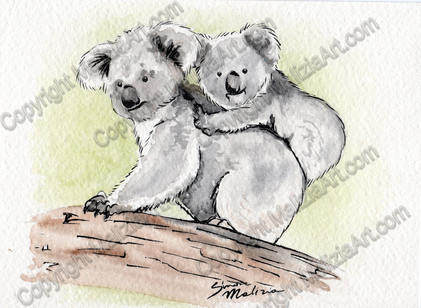 Stampe dei miei Acquerelli di Animali