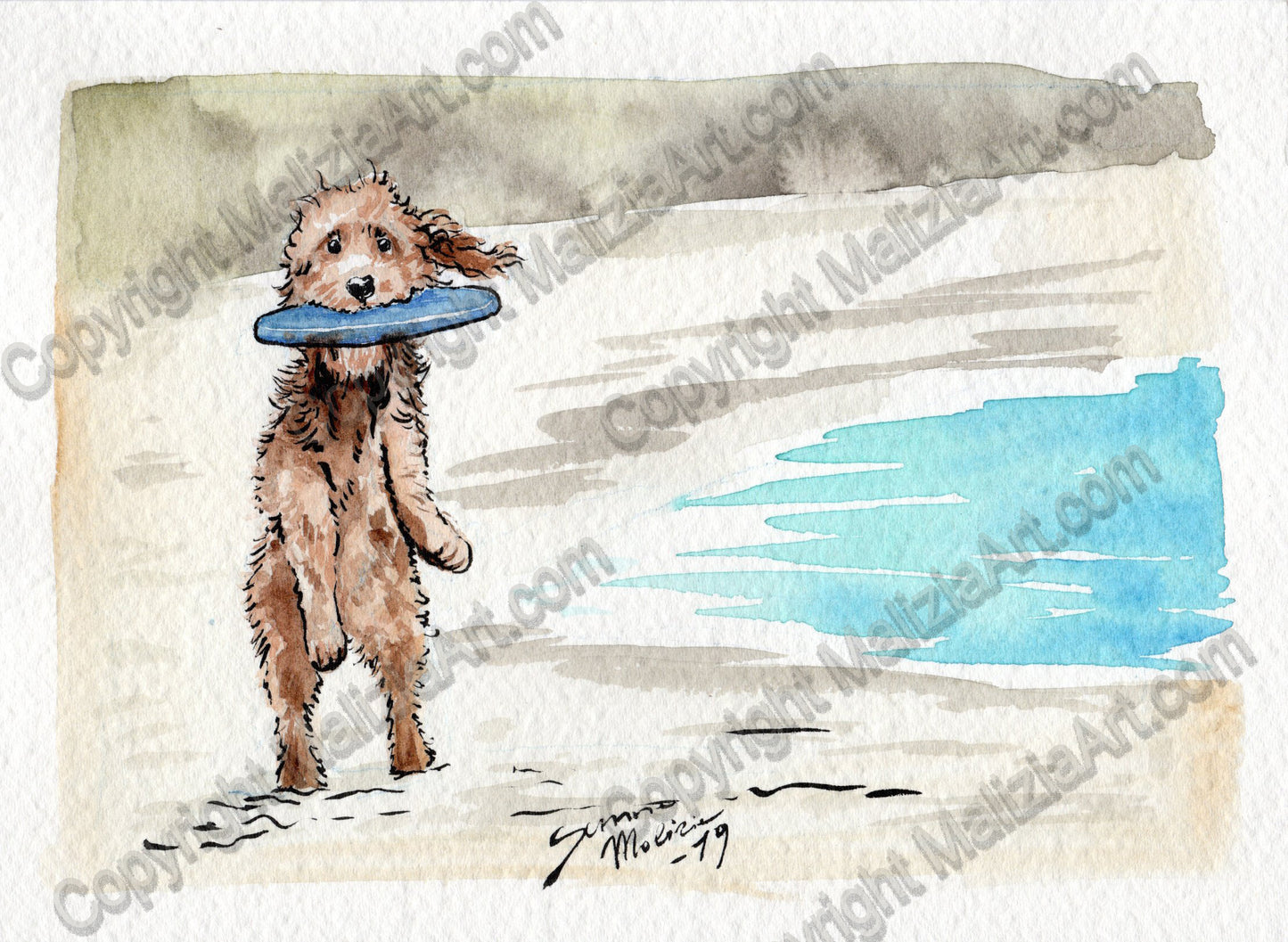 Stampe dei miei Acquerelli di Animali
