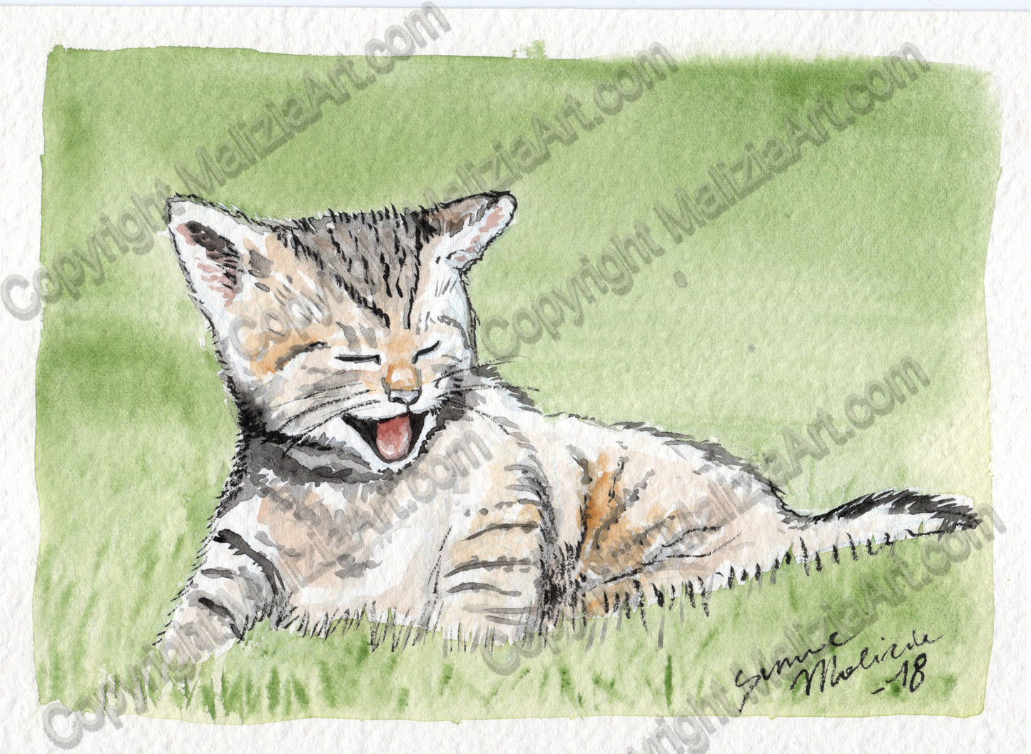 Stampe dei miei Acquerelli di Animali