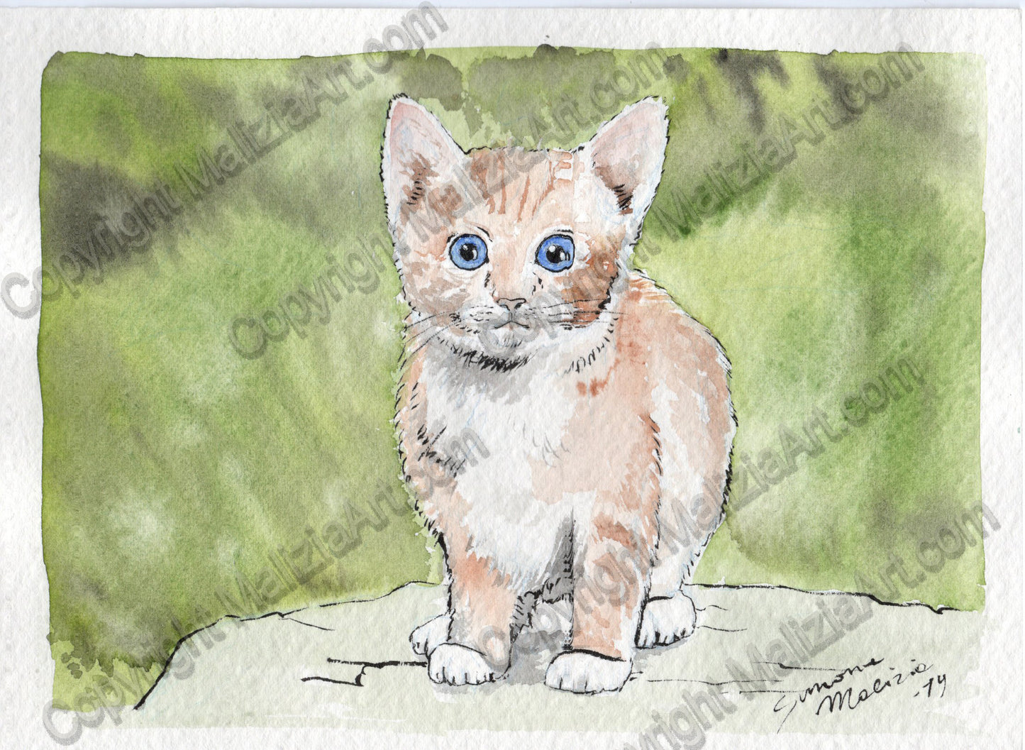Stampe dei miei Acquerelli di Animali